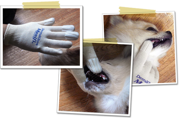 �f���^���O���[�u