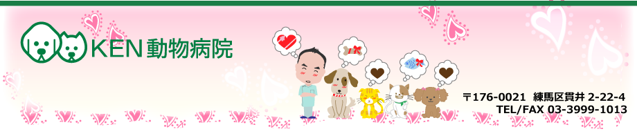 KEN�����a�@�@��176-0021 ���n��ш�2-22-4�@TEL/FAX 03-3999-1013
