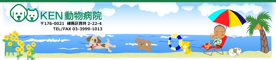 KENa@@176-0021 nш2-22-4@TEL/FAX 03-3999-1013