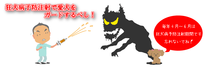狂犬病予防接種で愛犬をガードするべし!