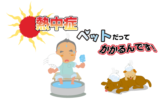 熱中症ペットだってかかるんです!