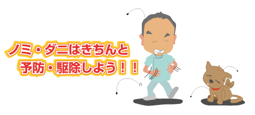 ノミ・ダニはきちんと予・駆除しよう!