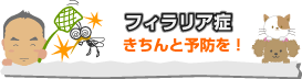 フィラリア症、きちんと予防!