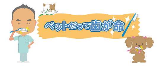 ペットだって歯が命!