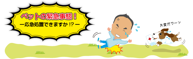 ペットの緊急事態-応急処置できますか!?