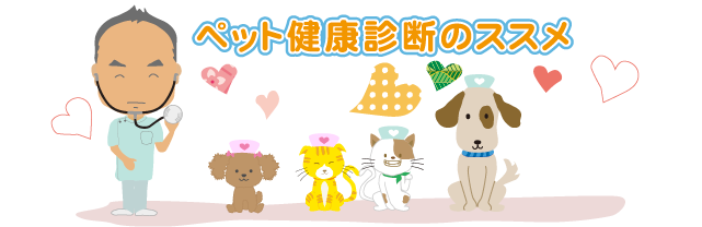 ペットの緊急事態-応急処置できますか!?