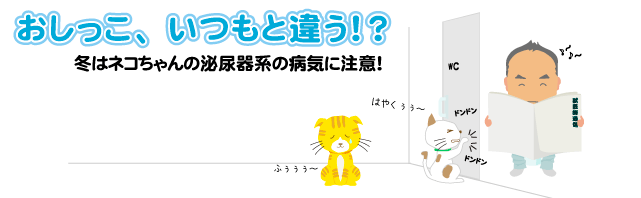 ���������A�����ƈႤ!?�@�~�̓l�R�����̔�A��n�a�C�ɒ��ӁI