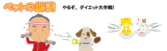 ペットの肥満 やるぞ、ダイエット大作戦!