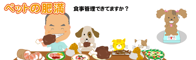 ペットの肥満 食事管理できてますか?