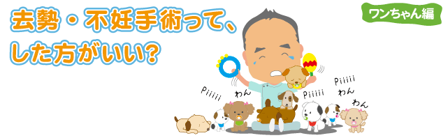 去勢・不妊手術って、した方がいい? ワンちゃん編